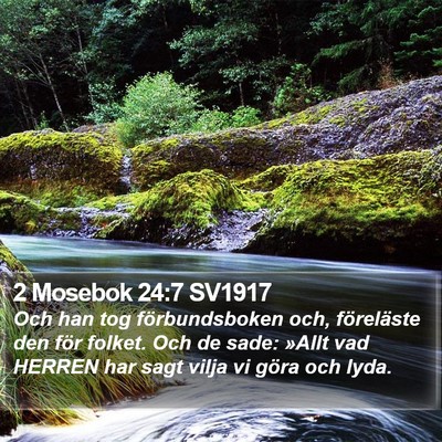 2 Mosebok 24:7 SV1917 Bible Verse Image