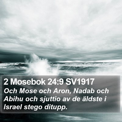 2 Mosebok 24:9 SV1917 Bible Verse Image