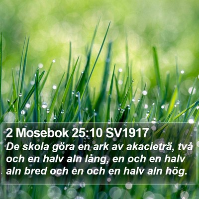 2 Mosebok 25:10 SV1917 Bible Verse Image