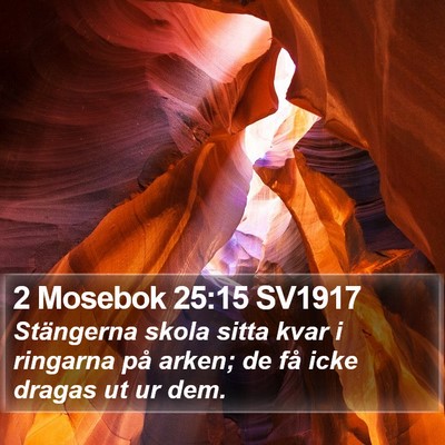 2 Mosebok 25:15 SV1917 Bible Verse Image