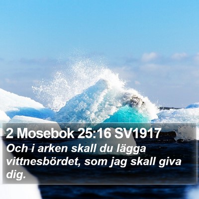 2 Mosebok 25:16 SV1917 Bible Verse Image