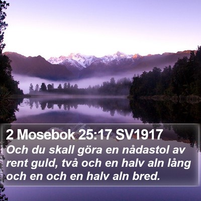 2 Mosebok 25:17 SV1917 Bible Verse Image