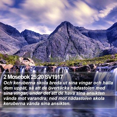 2 Mosebok 25:20 SV1917 Bible Verse Image