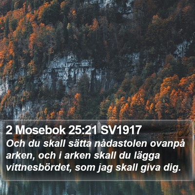 2 Mosebok 25:21 SV1917 Bible Verse Image