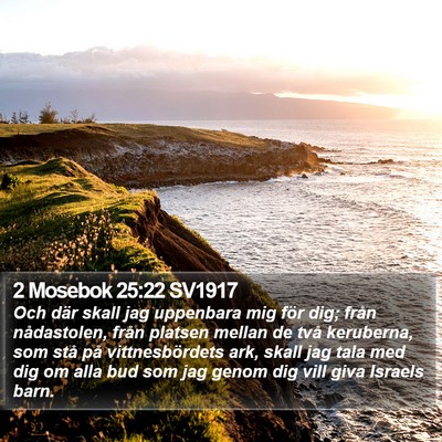 2 Mosebok 25:22 SV1917 Bible Verse Image