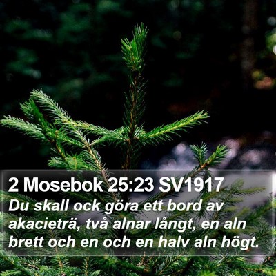 2 Mosebok 25:23 SV1917 Bible Verse Image