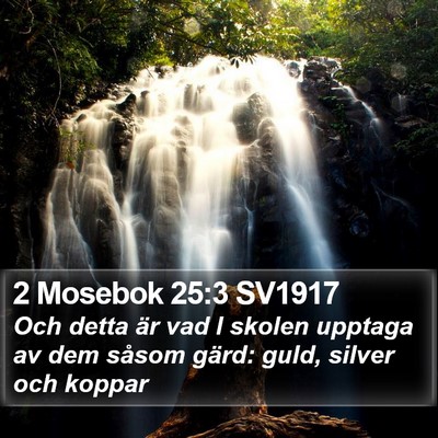 2 Mosebok 25:3 SV1917 Bible Verse Image