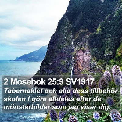 2 Mosebok 25:9 SV1917 Bible Verse Image