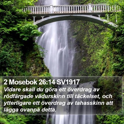 2 Mosebok 26:14 SV1917 Bible Verse Image