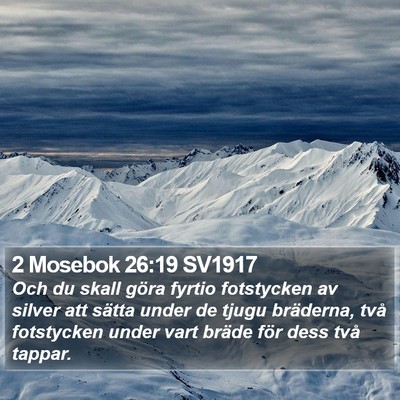 2 Mosebok 26:19 SV1917 Bible Verse Image