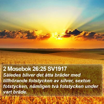 2 Mosebok 26:25 SV1917 Bible Verse Image