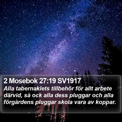 2 Mosebok 27:19 SV1917 Bible Verse Image