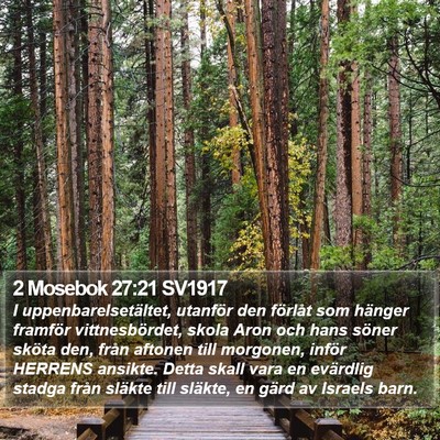 2 Mosebok 27:21 SV1917 Bible Verse Image