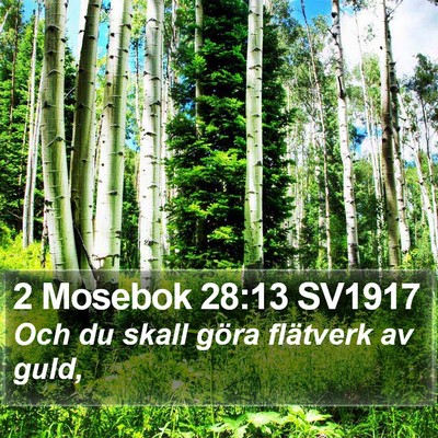 2 Mosebok 28:13 SV1917 Bible Verse Image