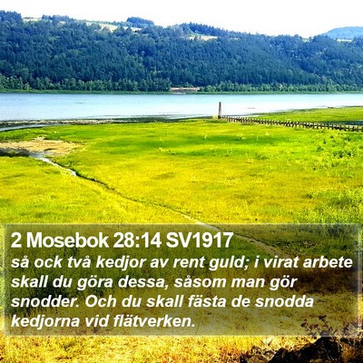 2 Mosebok 28:14 SV1917 Bible Verse Image