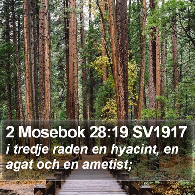 2 Mosebok 28:19 SV1917 Bible Verse Image