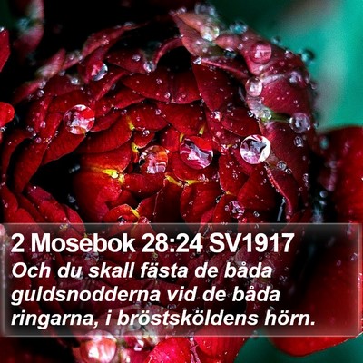 2 Mosebok 28:24 SV1917 Bible Verse Image