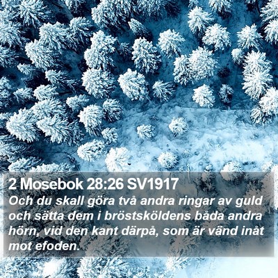 2 Mosebok 28:26 SV1917 Bible Verse Image
