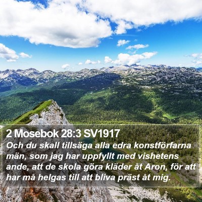 2 Mosebok 28:3 SV1917 Bible Verse Image