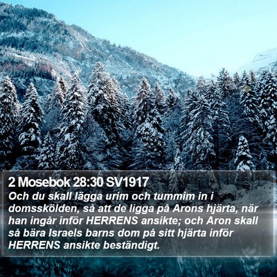 2 Mosebok 28:30 SV1917 Bible Verse Image