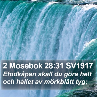 2 Mosebok 28:31 SV1917 Bible Verse Image