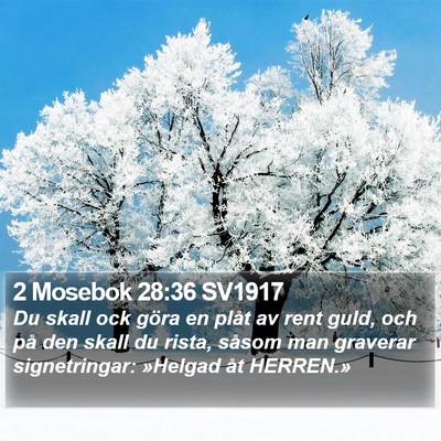 2 Mosebok 28:36 SV1917 Bible Verse Image