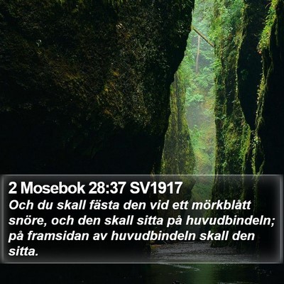 2 Mosebok 28:37 SV1917 Bible Verse Image