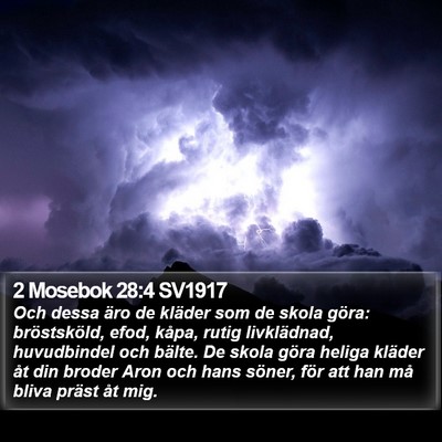 2 Mosebok 28:4 SV1917 Bible Verse Image