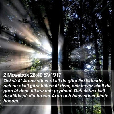 2 Mosebok 28:40 SV1917 Bible Verse Image