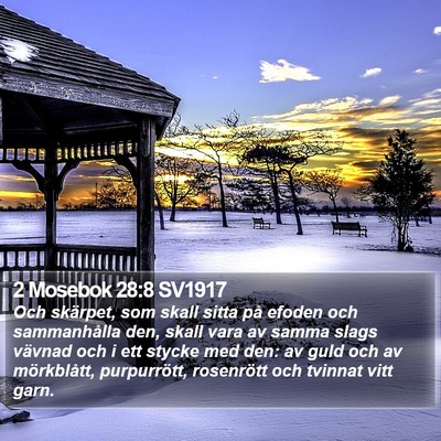 2 Mosebok 28:8 SV1917 Bible Verse Image