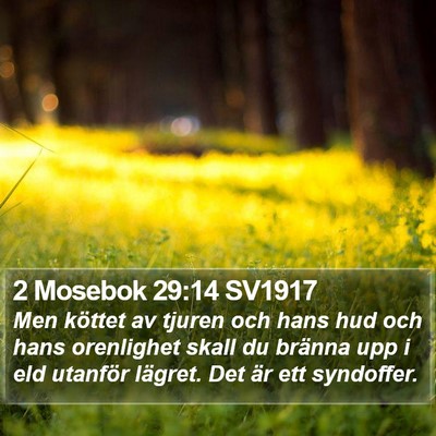 2 Mosebok 29:14 SV1917 Bible Verse Image