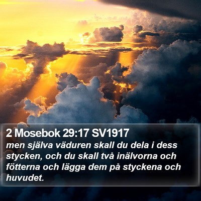2 Mosebok 29:17 SV1917 Bible Verse Image