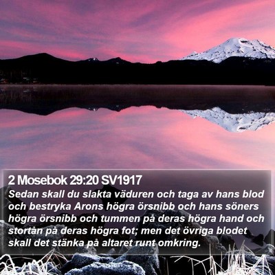 2 Mosebok 29:20 SV1917 Bible Verse Image