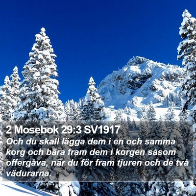 2 Mosebok 29:3 SV1917 Bible Verse Image