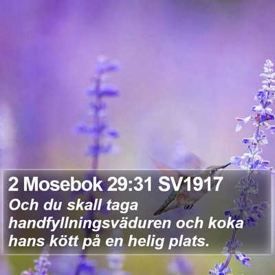 2 Mosebok 29:31 SV1917 Bible Verse Image