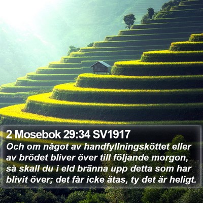 2 Mosebok 29:34 SV1917 Bible Verse Image