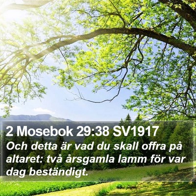 2 Mosebok 29:38 SV1917 Bible Verse Image