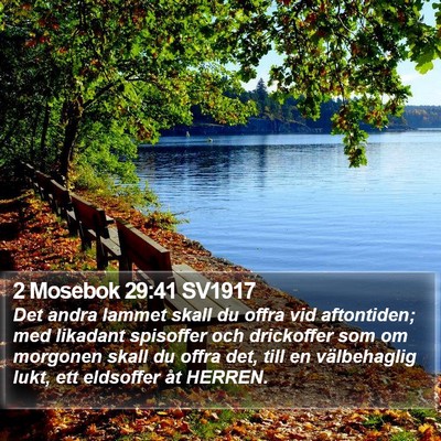 2 Mosebok 29:41 SV1917 Bible Verse Image