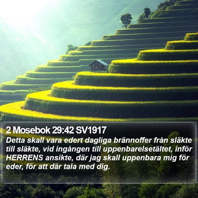 2 Mosebok 29:42 SV1917 Bible Verse Image