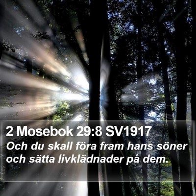 2 Mosebok 29:8 SV1917 Bible Verse Image