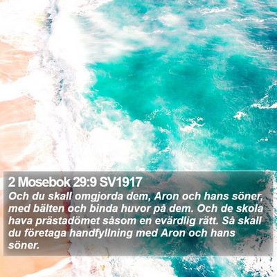2 Mosebok 29:9 SV1917 Bible Verse Image