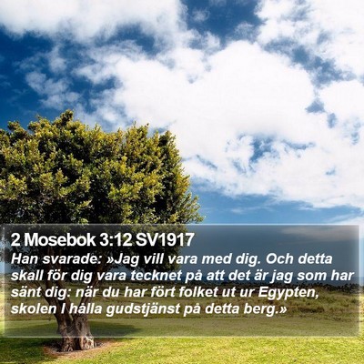 2 Mosebok 3:12 SV1917 Bible Verse Image