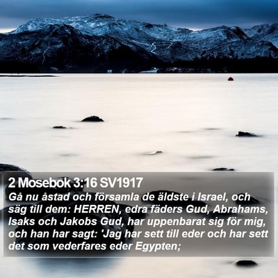 2 Mosebok 3:16 SV1917 Bible Verse Image