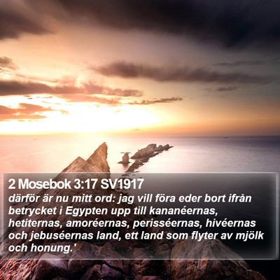 2 Mosebok 3:17 SV1917 Bible Verse Image