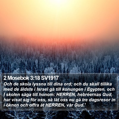 2 Mosebok 3:18 SV1917 Bible Verse Image