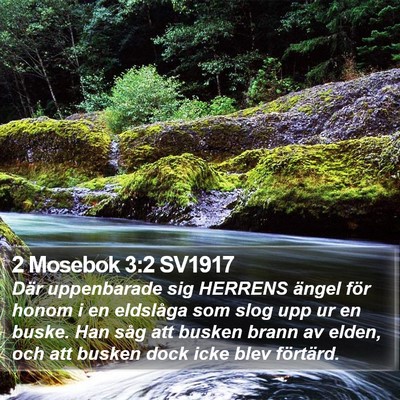 2 Mosebok 3:2 SV1917 Bible Verse Image