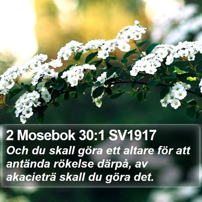 2 Mosebok 30:1 SV1917 Bible Verse Image