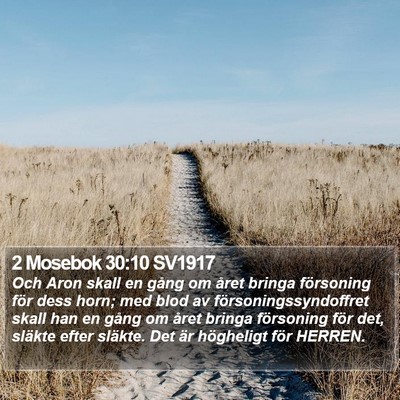 2 Mosebok 30:10 SV1917 Bible Verse Image
