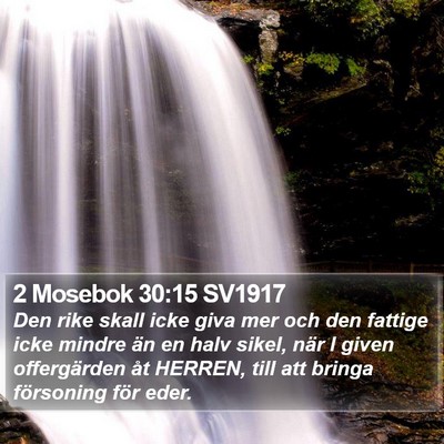 2 Mosebok 30:15 SV1917 Bible Verse Image