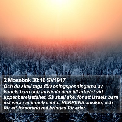 2 Mosebok 30:16 SV1917 Bible Verse Image